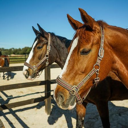 הוילה לןקמאג'ור Vmg Horse Ranch (Adults Only) מראה חיצוני תמונה