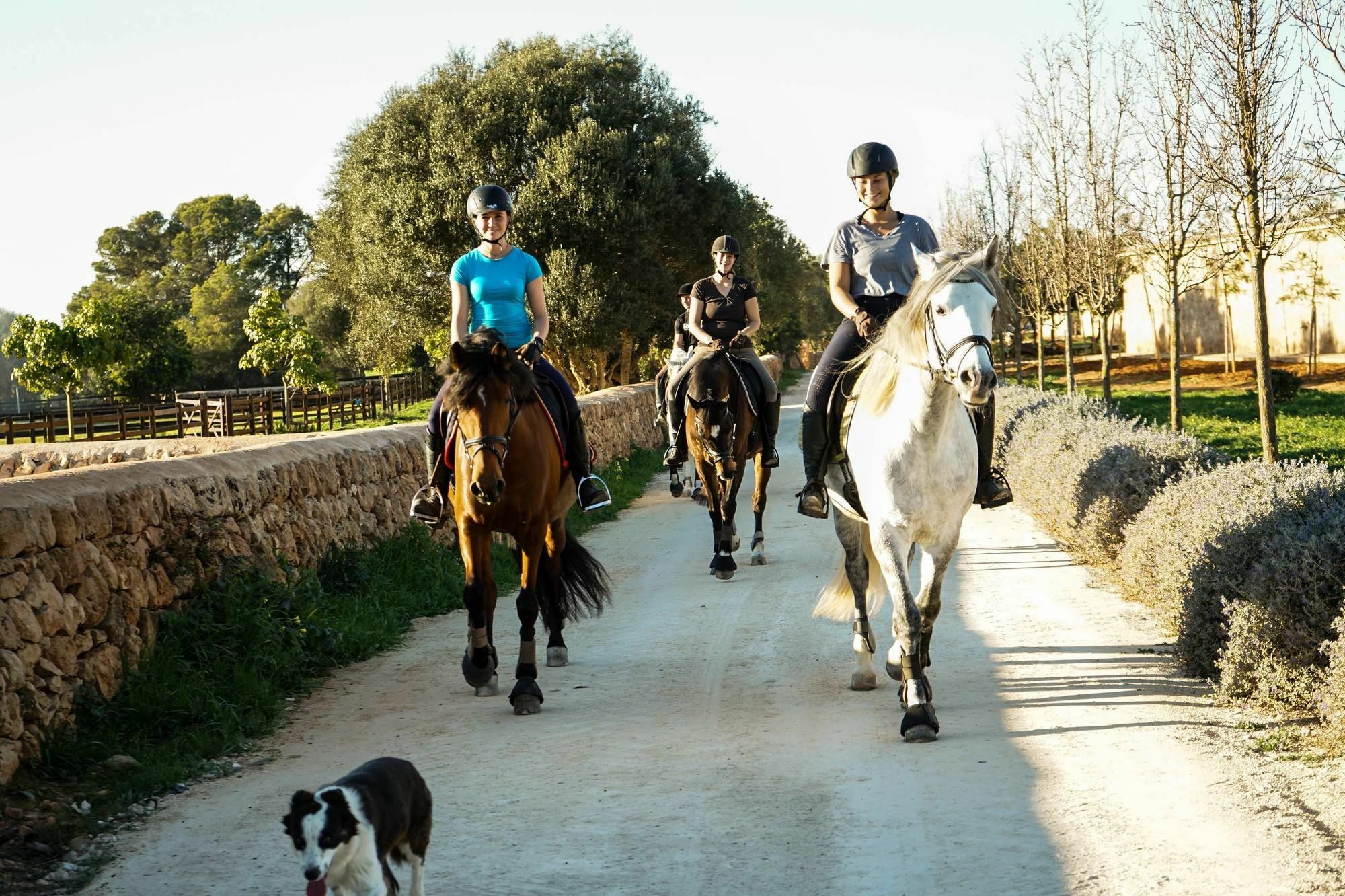 הוילה לןקמאג'ור Vmg Horse Ranch (Adults Only) מראה חיצוני תמונה