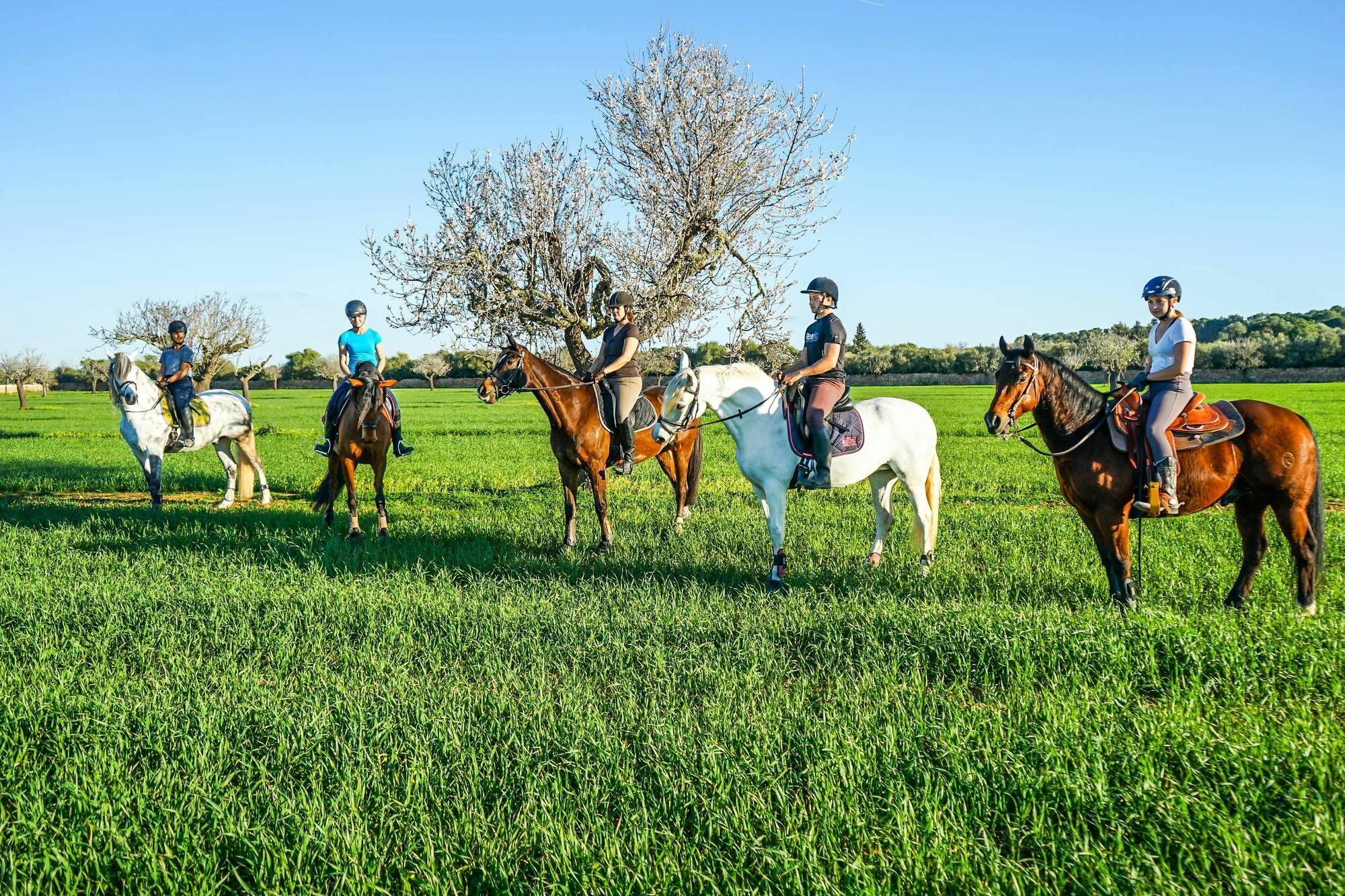 הוילה לןקמאג'ור Vmg Horse Ranch (Adults Only) מראה חיצוני תמונה